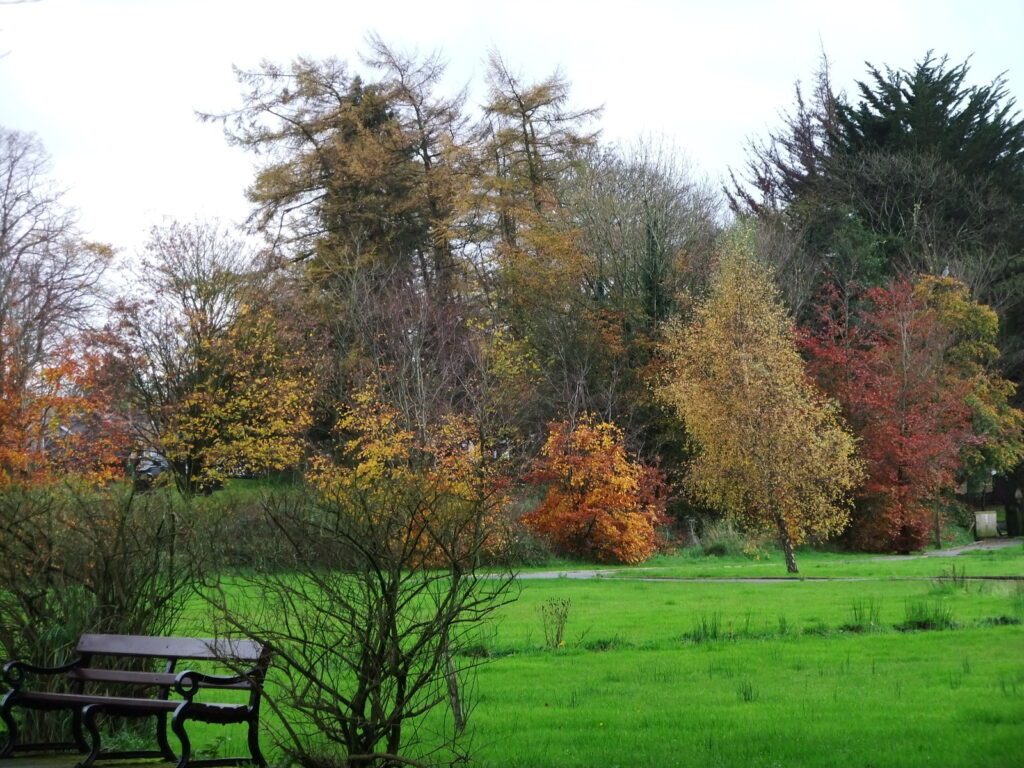 Gatwick Airport to Manor Park